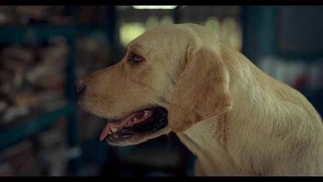 Kerala Crime Files 2025 Season 02 Epi 01